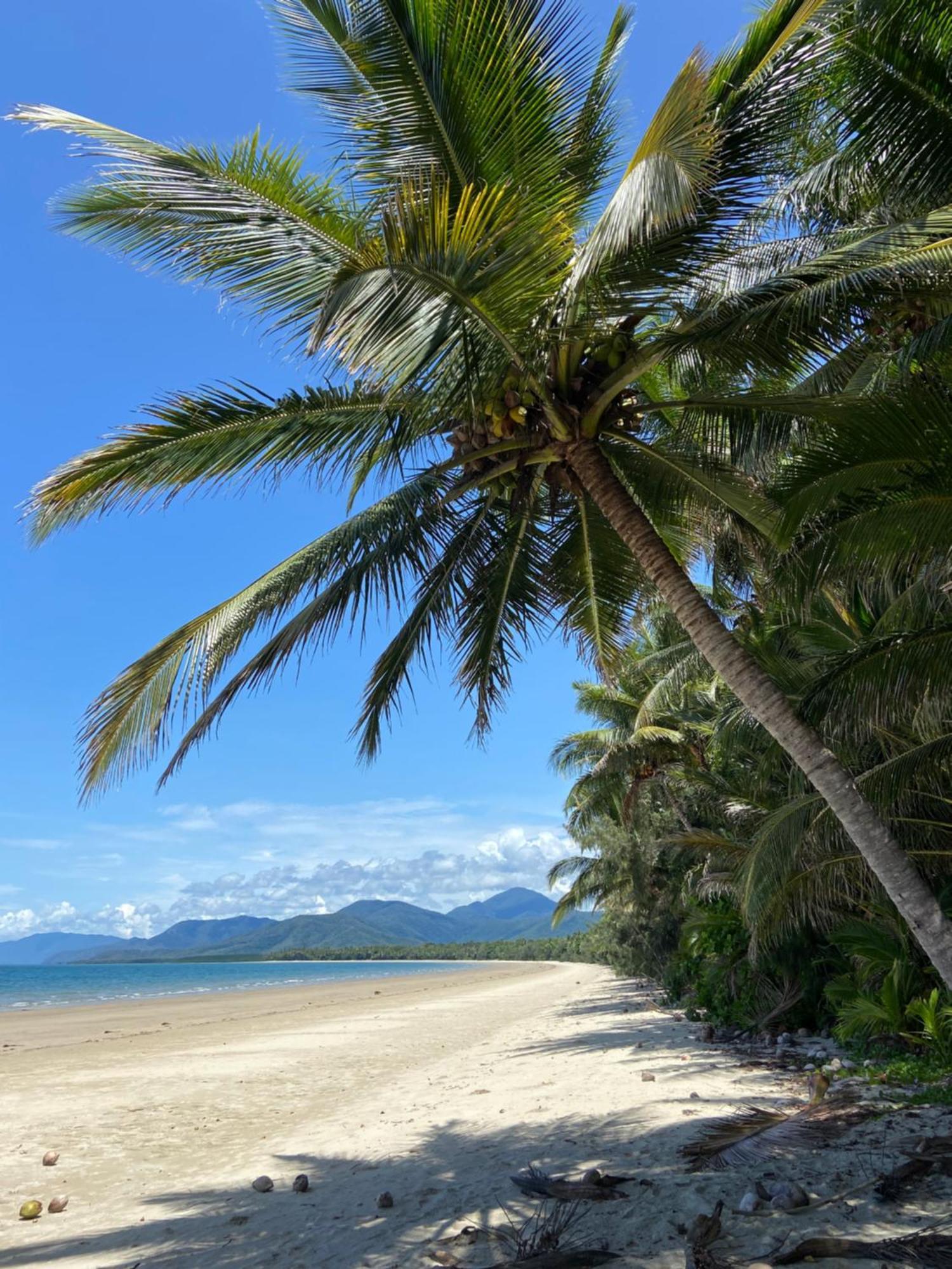 Modern 2 Bedroom Townhouse - Four Mile Beach Escapes Port Douglas Exterior photo